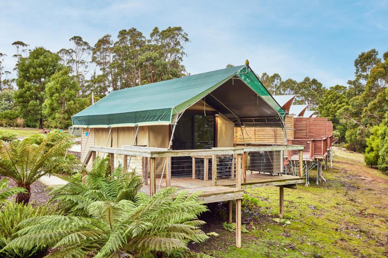 Nrma Port Arthur Holiday Park Esterno foto