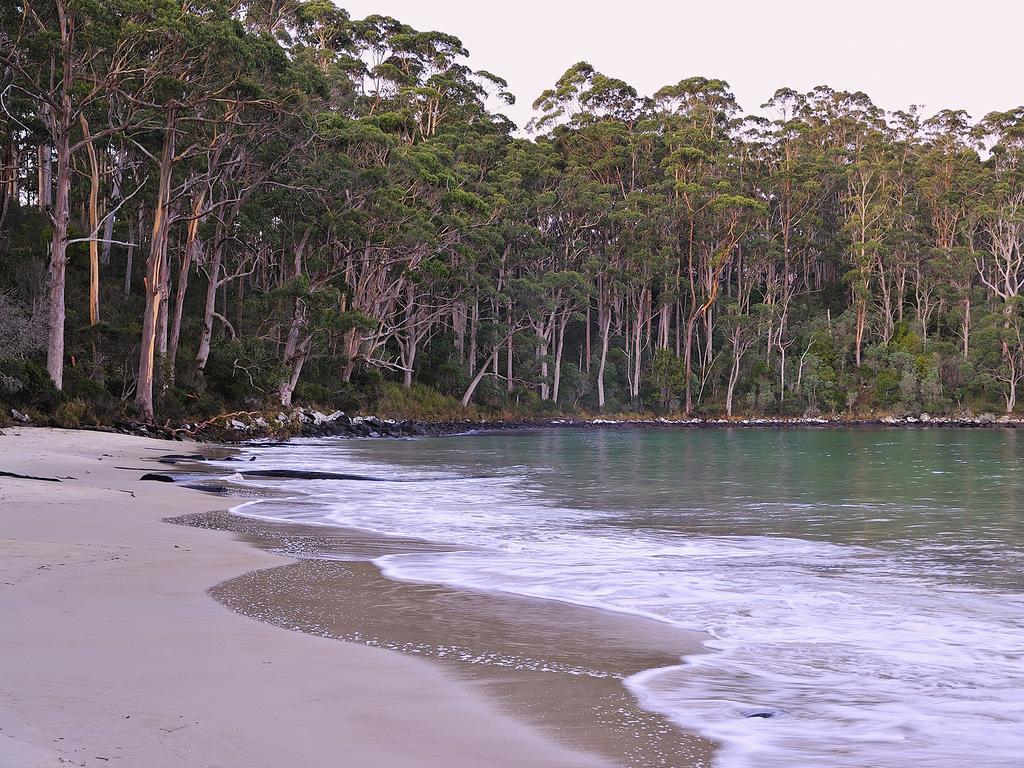 Nrma Port Arthur Holiday Park Esterno foto